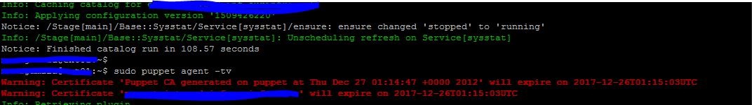 How to fix puppet certificate errors – Ebin Issac